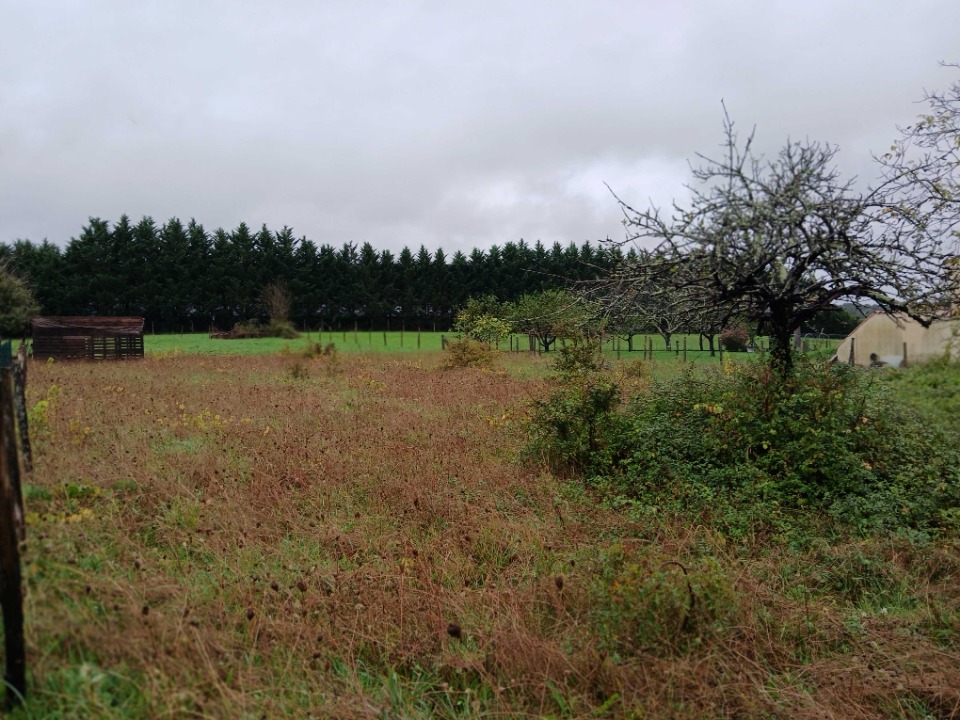 Terrain à bâtir à Tocane-Saint-Apre (24350)