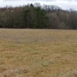 Maison à construire à Verteillac (24320)