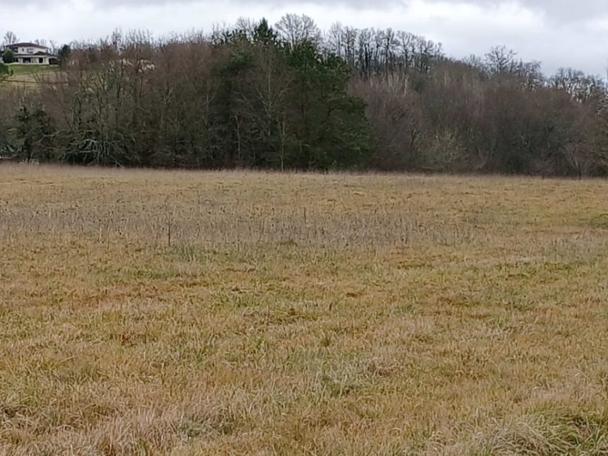 Terrain à bâtir à Verteillac (24320)