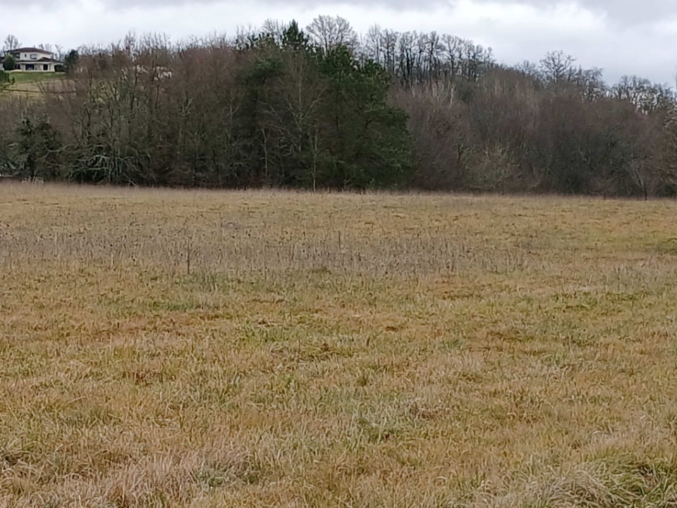 Terrain à bâtir à Verteillac (24320)