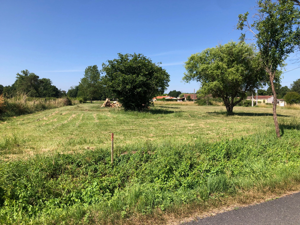 Terrain à bâtir à Saint-Savin (33920)