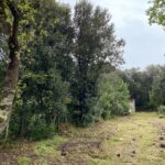 Terrain à bâtir à Saint-Pierre-d’Oléron (17310)