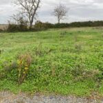 Terrain à bâtir à Ballon (17290)