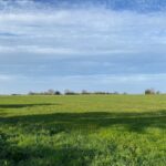 Terrain à bâtir à Archingeay (17380)