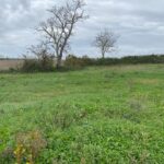 Terrain à bâtir à Le Thou (17290)