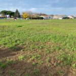 Terrain à bâtir à Brizambourg (17770)