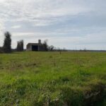 Maison à construire à Plassay (17250)