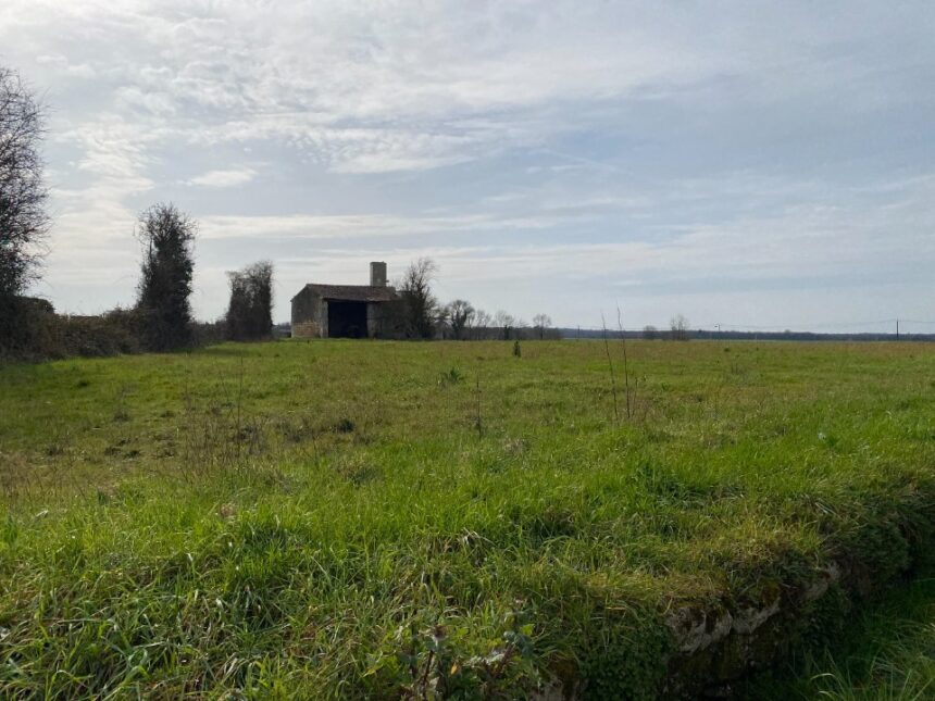 Terrain à bâtir à Plassay (17250)