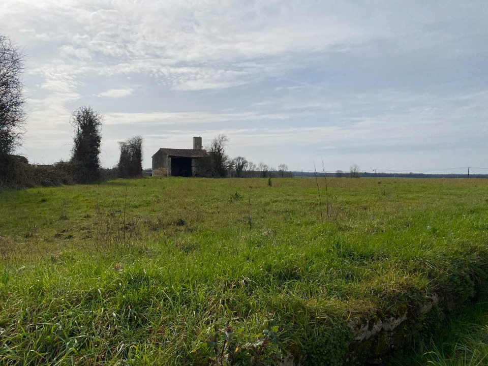Terrain à bâtir à Plassay (17250)