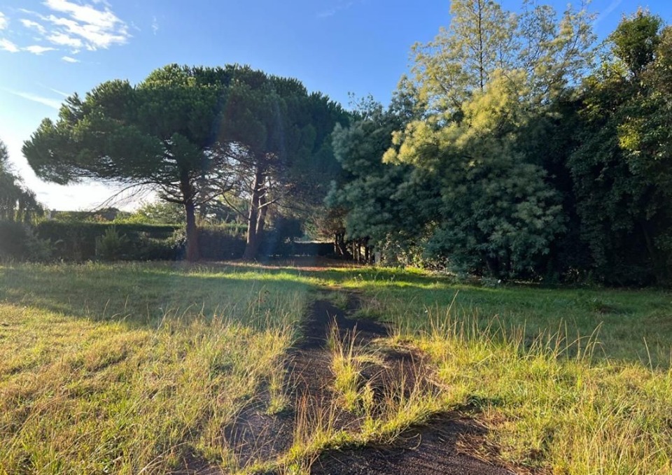 Terrain à bâtir à Dolus-d’Oléron (17550)