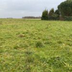 Terrain à bâtir à Surgères (17700)