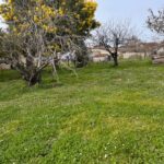 Maison à construire à Génissac (33420)