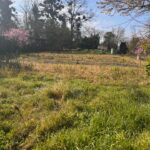 Maison à construire à Libourne (33500)