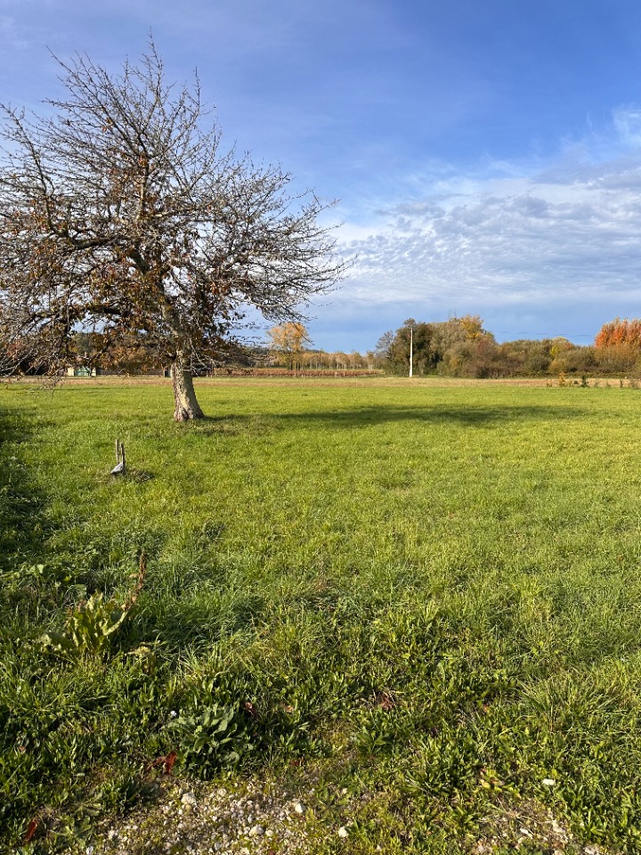 Terrain à bâtir à Sainte-Florence (33350)