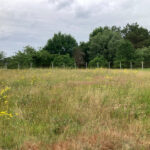 Terrain à bâtir à Les Peintures (33230)