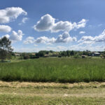 Terrain à bâtir à Saint-Aulaye (24410)