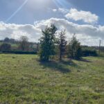 Maison à construire à La Réole (33190)