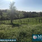 Terrain à bâtir à Guiche (64520)