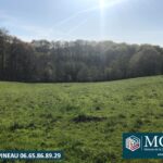 Maison neuve à Port-de-Lanne (40300)