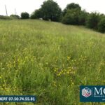 Maison neuve à Guiche (64520)