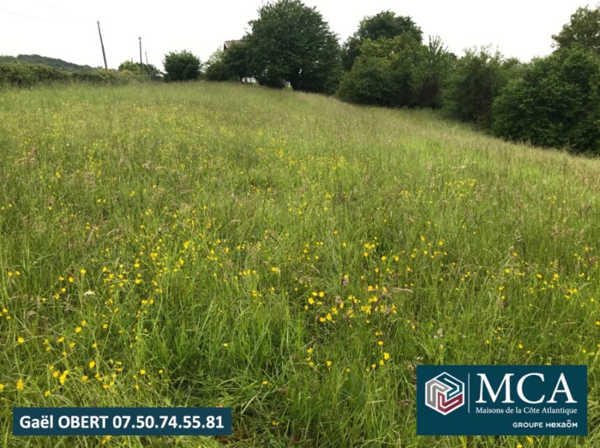 Maison neuve à Guiche (64520)