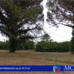 Maison à construire à Langon (33210)