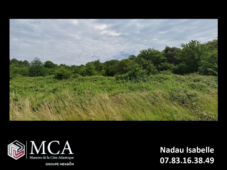 Terrain à bâtir à Campugnan (33390)