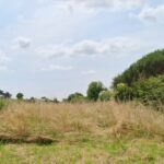 Terrain à bâtir à Saint-Germain-du-Puch (33750)