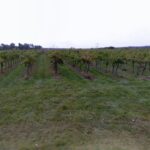 Terrain à bâtir à Beychac-et-Caillau (33750)