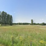 Terrain à bâtir à Saint-Savin (33920)