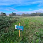 Terrain à bâtir à Bussac-Forêt (17210)
