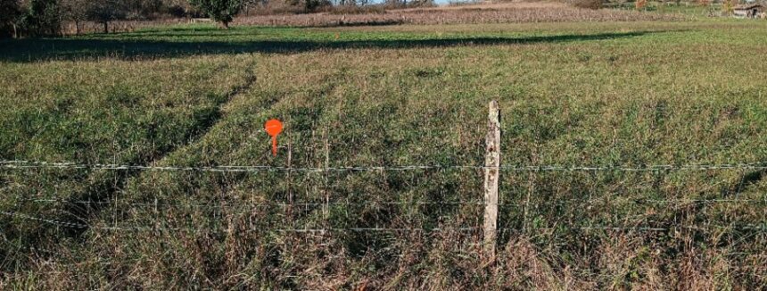 Terrain à bâtir à Peujard (33240)