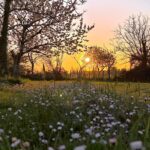 Maison à construire à Coutras (33230)