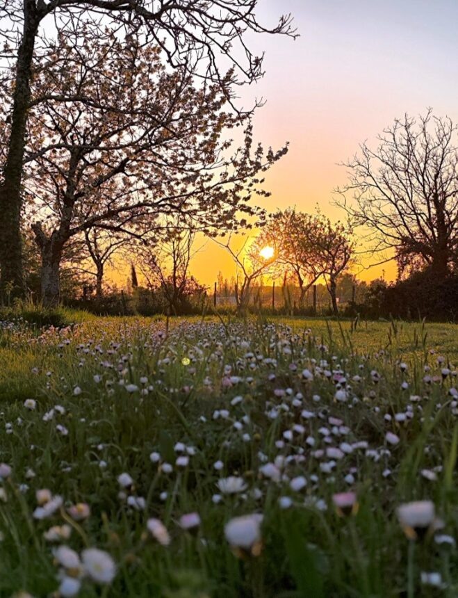 Maison à construire à Coutras (33230)