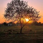 Maison à construire à Sablons (33910)