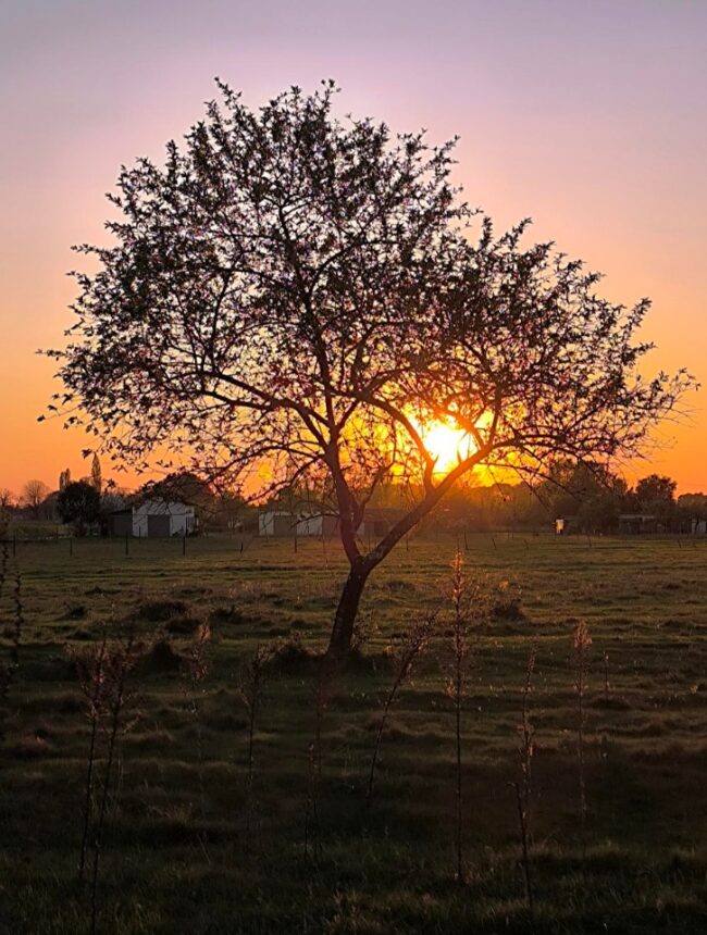 Maison à construire à Sablons (33910)