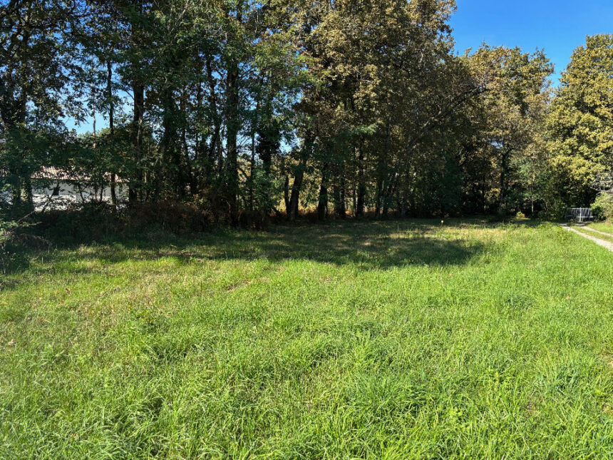 Terrain à bâtir à Saint-Sauveur (33250)