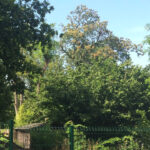 Maison à construire à Mérignac (33700)