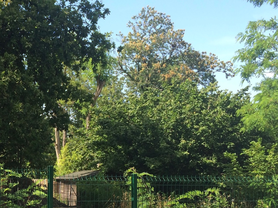 Terrain à bâtir à Mérignac (33700)