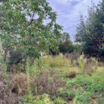 Terrain à bâtir à Saint-Estèphe (33180)