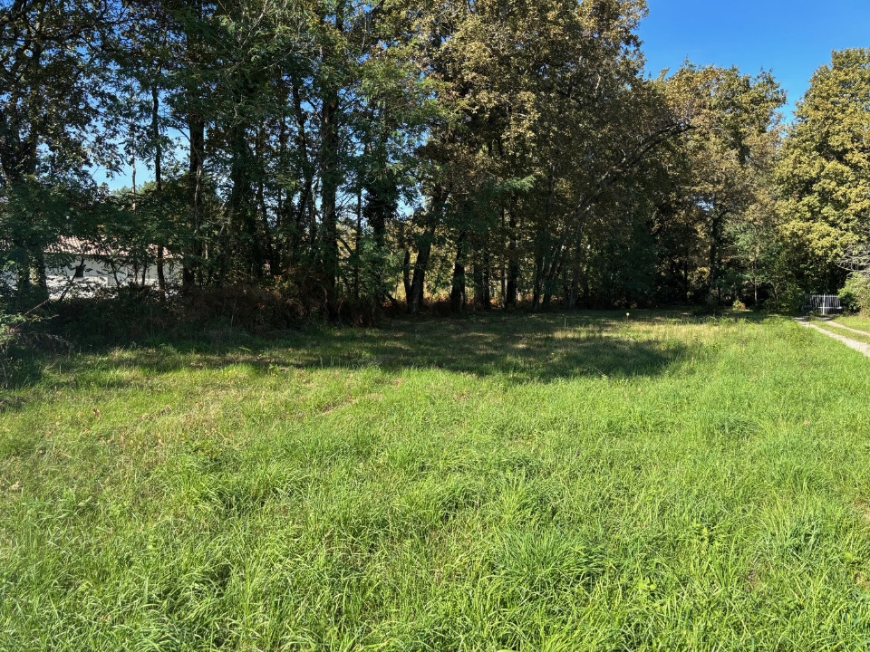 Terrain à bâtir à Saint-Sauveur (33250)