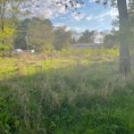 Maison à construire à Le Barp (33114)