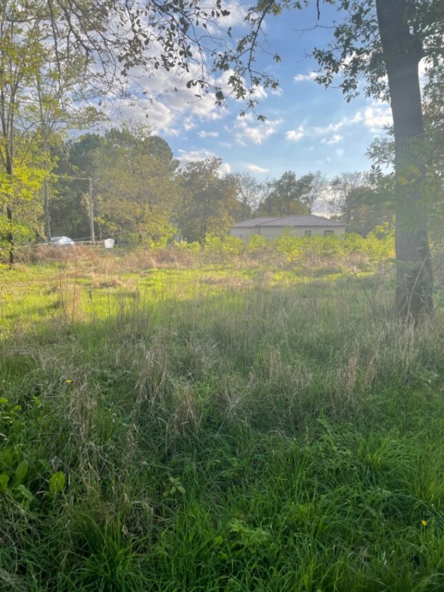 Terrain à bâtir à Le Barp (33114)