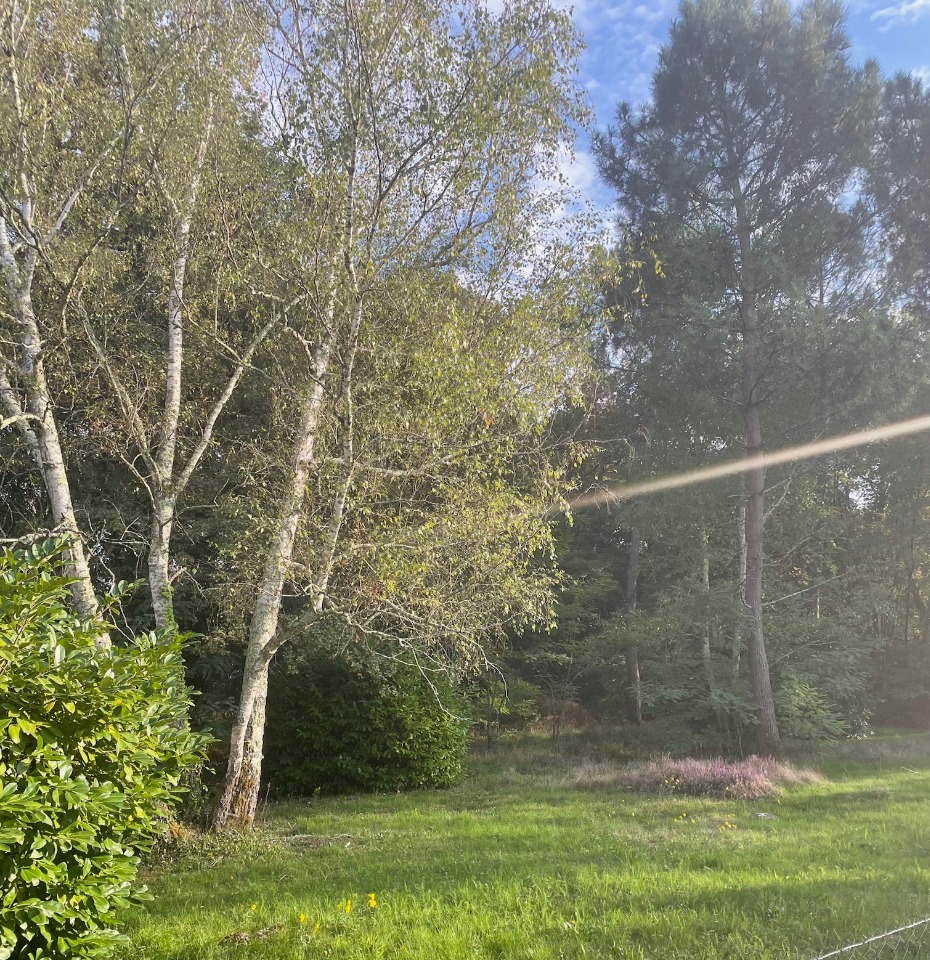 Terrain à bâtir à Saint-Aubin-de-Médoc (33160)