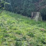 Maison à construire à Blanquefort (33290)