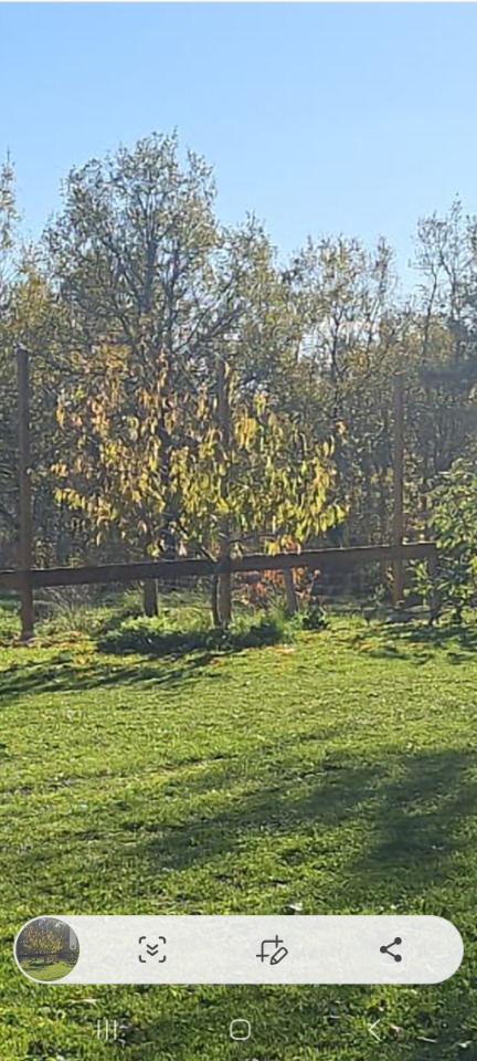 Terrain à bâtir à Louchats (33125)