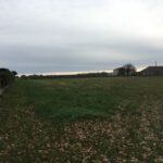 Maison à construire à Haux (33550)