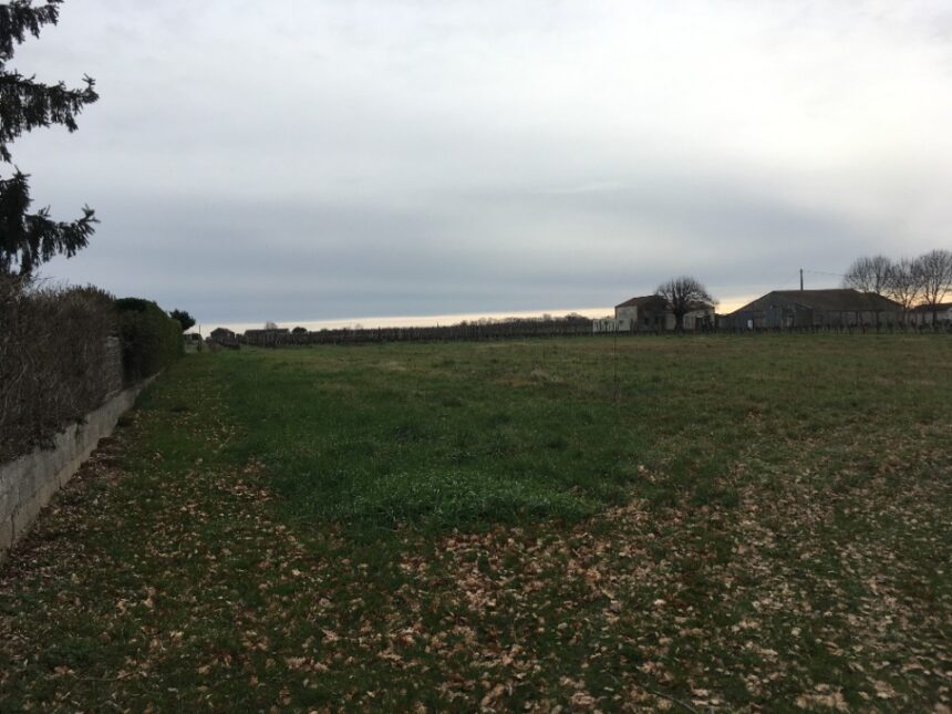 Maison à construire à Haux (33550)