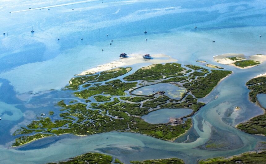 Terrain à bâtir à Biganos (33380)