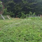 Maison à construire à Créon (33670)